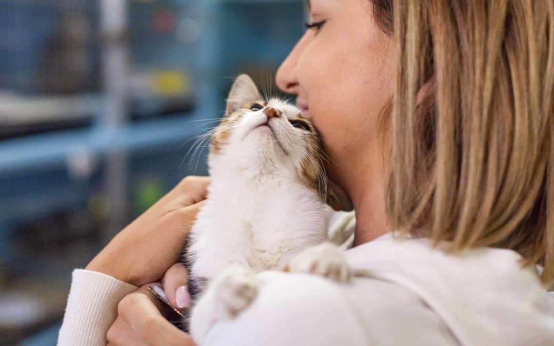 Dr Jo Righetti’s tips for bringing home a rescue pet