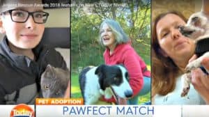 Jetpets Rescue Awards 2018 features on Nine's Today Show