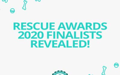 Jetpets Companion Animal Rescue Awards 2020 FINALISTS revealed