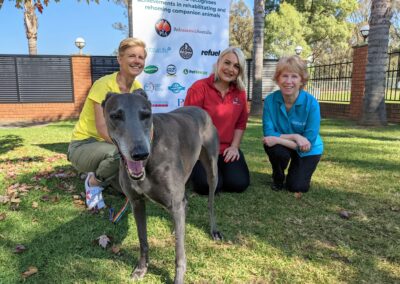 Photo credit: Caroline Zambrano. Rescue Awards 2021 launch. Shelley Tinworth from Greyhound Rescue % Piper, Jona Osmani from Pet Insurance Australia, Cathy Beer, Pets4Life