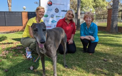 Pet Insurance Australia Companion Animal Rescue Awards 2021 opens for entries