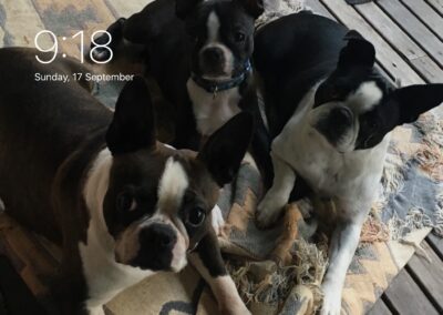 Shirley, Bunny, Fargo and Lola and Kerrie (NSW)