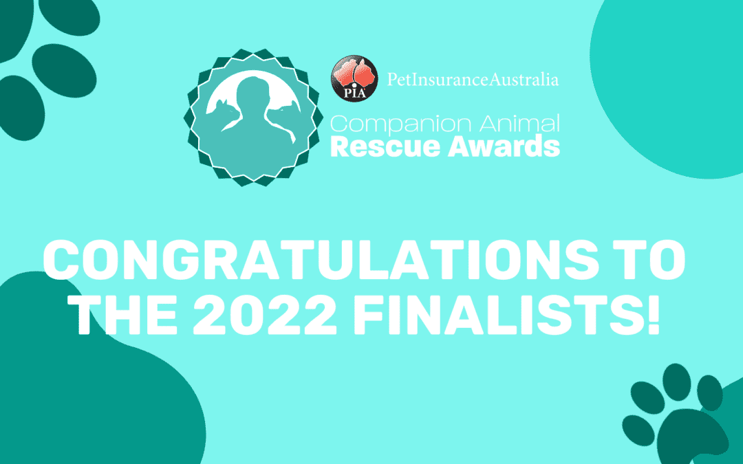 Companion Animal Rescue Awards 2022 Finalists Revealed