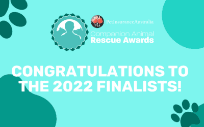 Rescue Awards 2022 Finalists